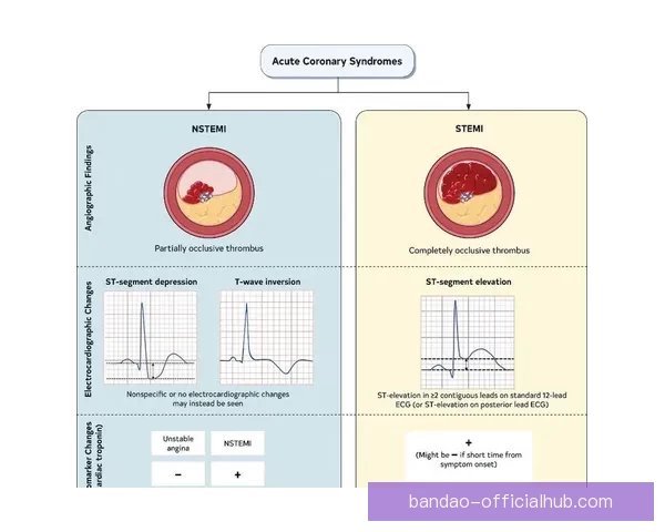 足球竞猜预测大数据分析与实战策略提升命中率全面指南专业研究平台