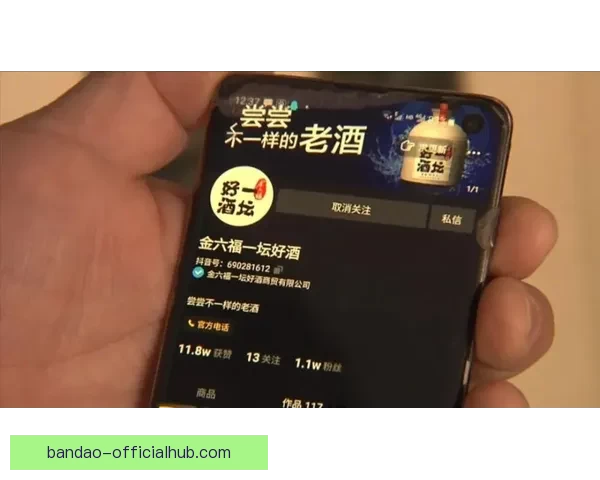 世界杯竞猜稳定平台推荐，专业分析助你精准投注赢大奖